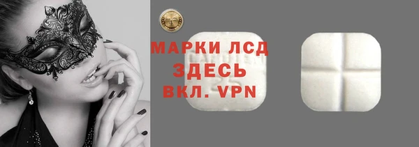 индика Кукмор