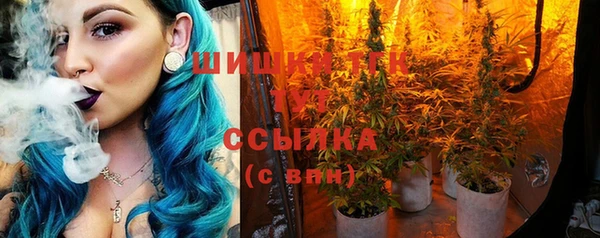 индика Кукмор