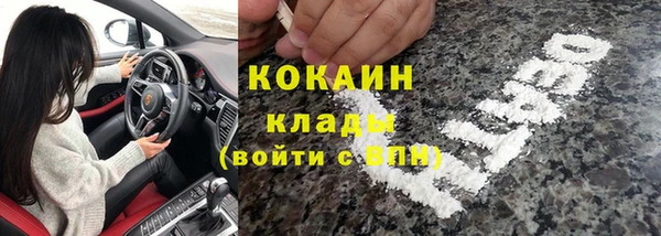 индика Кукмор