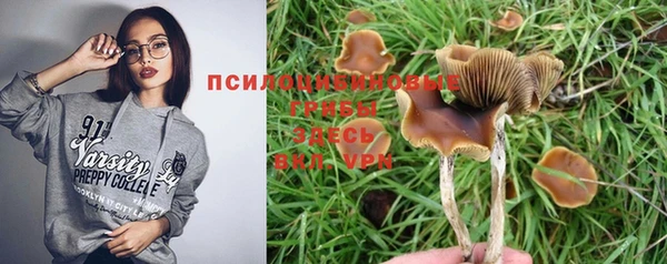 мескалин Кулебаки