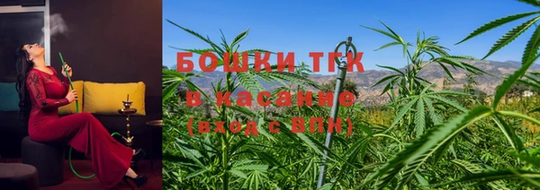 индика Кукмор