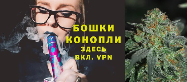 индика Кукмор