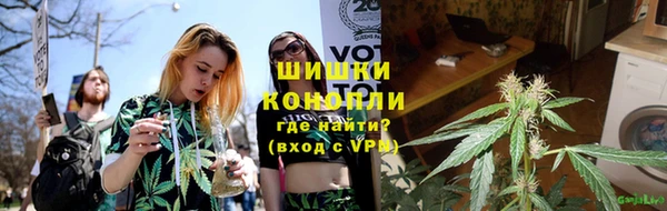 индика Кукмор