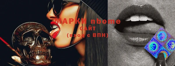 индика Кукмор