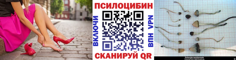 купить закладку  Шумиха  Галлюциногенные грибы прущие грибы 
